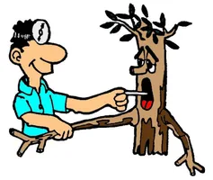 A-1 Arborists Tree Service