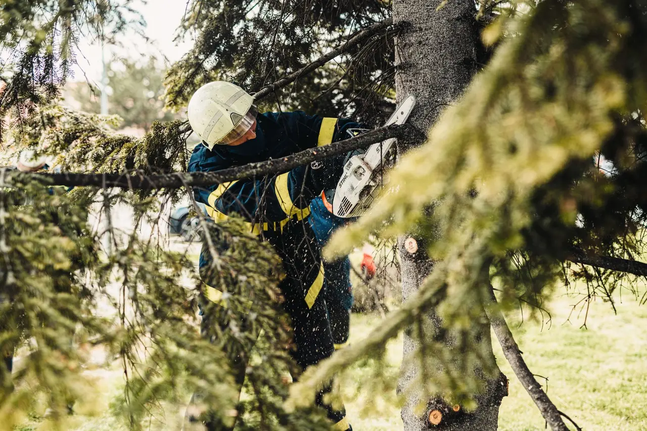 Emergency Tree Services