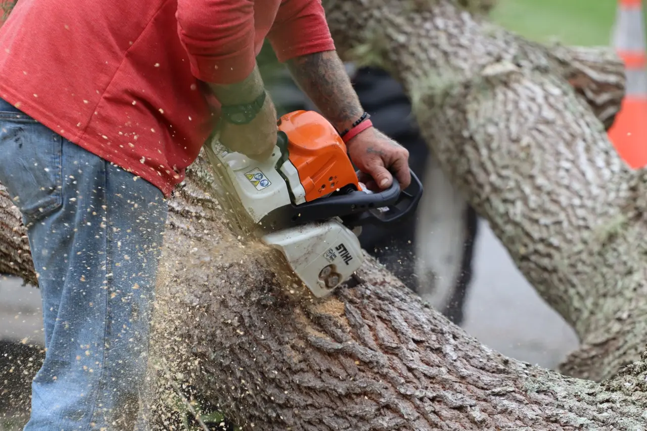 Wood Chipping Services
